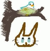 Picture for song 'bird and cat' by artist 'red bouy'
