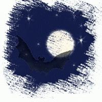 Picture for song 'firework' by artist 'red bouy'