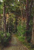Picture for song 'Magical Journey' by artist 'Redlink'