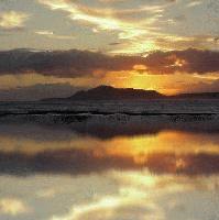 Picture for song 'Dreamcatcher v2.0' by artist 'redstarrising'