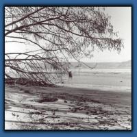 Picture for song 'Stormgods' by artist 'redstarrising'