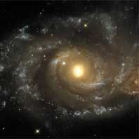 Picture for song 'If we look' by artist 'Reefer (NL)'