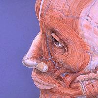 Picture for song 'Superficial' by artist 'Reefer (NL)'