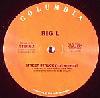 Picture for song 'BIG L - street struck remix' by artist 'Reflex aka Da Slick'