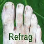 Picture for song 'Same' by artist 'Refrag'