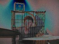 Picture for song 'Mood Swing' by artist 'Reindel'
