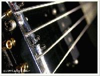 Picture for song 'Black Pearl' by artist 'REINHARDT'