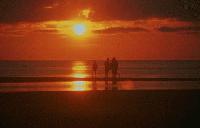 Picture for song 'Summer Breeze ( Gratitude - version )' by artist 'REINHARDT'