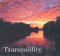 Picture for song 'Tranquillity' by artist 'REINHARDT'