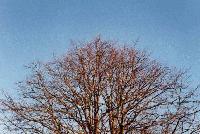 Picture for song 'Growth' by artist 'Relative Patients'