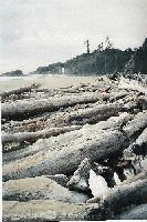 Picture for song 'feel better jesus! love, cross' by artist 'rena'