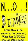Picture for song 'N O For Dummies' by artist 'ReniKay'