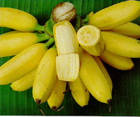 Picture for song 'Bananaz- Ben Grimm, Renisantz & Plethora' by artist 'Renisantz'