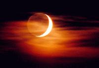 Picture for song 'The Moon' by artist 'Republic of Safety'