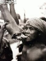 Picture for song '01-Eating the Hand that Feeds You' by artist 'Repulsive Bile'