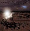 Picture for song 'Falling' by artist 'Revelation Project'