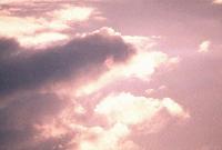 Picture for song 'Days Go By *Sample*' by artist 'Revival'