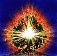 Picture for song 'One Chance At This Life Time' by artist 'Revival'