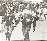 Picture for song 'Wallflower Danceparty' by artist 'RevJerp'