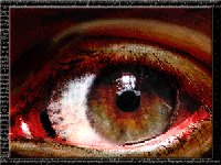 Picture for song 'Perspectives' by artist 'Revlis'