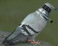 Picture for song 'Fat C#@t' by artist 'Rev Nev and the Irreverent Reverends'