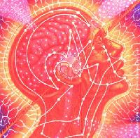 Picture for song 'Napther' by artist 'Rev Nev and the Irreverent Reverends'