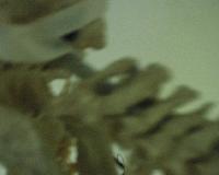 Picture for song 'Forever Sinking Bodies' by artist 'REVOK'