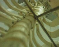 Picture for song 'Perish' by artist 'REVOK'