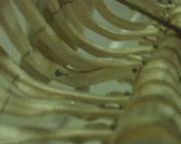 Picture for song 'Rendered Useless' by artist 'REVOK'