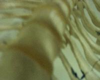 Picture for song 'Shining Path' by artist 'REVOK'