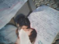 Picture for song 'Sor - Me eerste liefde' by artist 'revolutionairs'