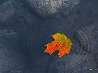 Picture for song 'Mirrors' by artist 'Revolutionary'