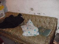 Picture for song 'Life In The Box' by artist 'Revolutionary Evaluating Victory'