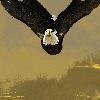 Picture for song 'nero' by artist 'rew'
