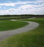 Picture for song 'Tall Green Grass' by artist 'RFlynn'