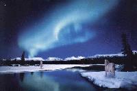 Picture for song 'Enter Winterheart' by artist 'RhY'