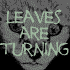Picture for song 'Leaves Are Turning' by artist 'Richard E Moore'