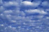 Picture for song 'Blue Horizon' by artist 'Rich Hardesty and the Del Reys'