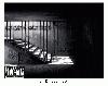 Picture for song 'DZK Ft. Richie Griffin and Effect-Fatal' by artist 'Richie Griffin'