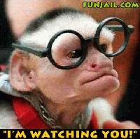 Picture for song 'who we dissin' by artist 'Rich Port'