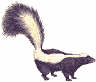 Picture for song '(Grandma's a ) Stinky Skunk' by artist 'Rick Norton'