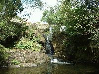 Picture for song 'Aira Force' by artist 'Ricky B'