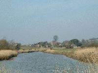 Picture for song 'Haven' by artist 'Ricky B'