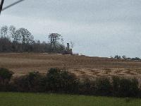 Picture for song 'ON IT' by artist 'Ricky B'