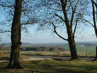 Picture for song 'SLIDERS' by artist 'Ricky B'