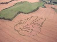 Picture for song 'Holladat (Ojida)' by artist 'Ricky Capp'