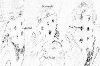 Picture for song 'Find a h** to Cut - (nuck if u buck _Freestyle)' by artist 'Rideout Entertainment'