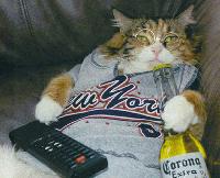 Picture for song 'Just Chillin' by artist 'RidiculousRhymes'