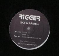 Picture for song 'Sky Marshal (Runway Mix)' by artist 'Rigger'