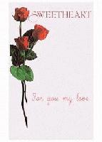 Picture for song '#51 Rima y Razón - Febrero/14/2004 Parte 2' by artist 'rima y razon'